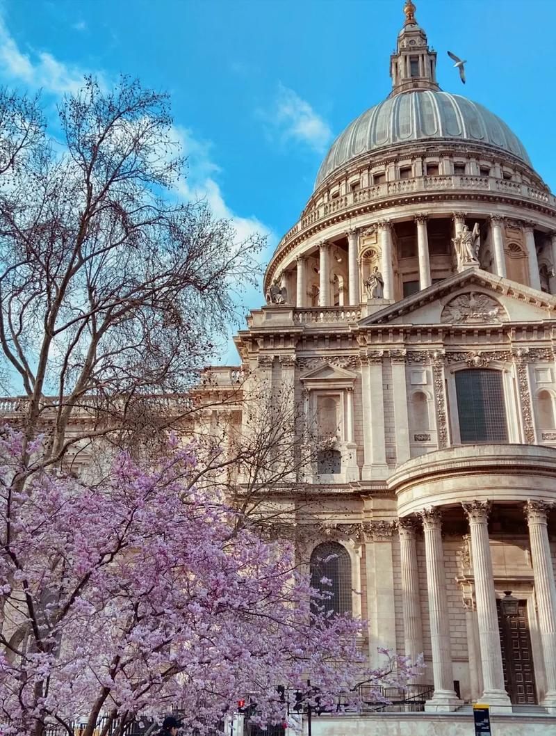 伊利诺伊大学芝加哥分校